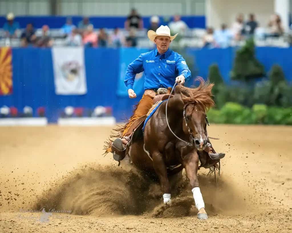 Cavalo de Rédeas em campeonato