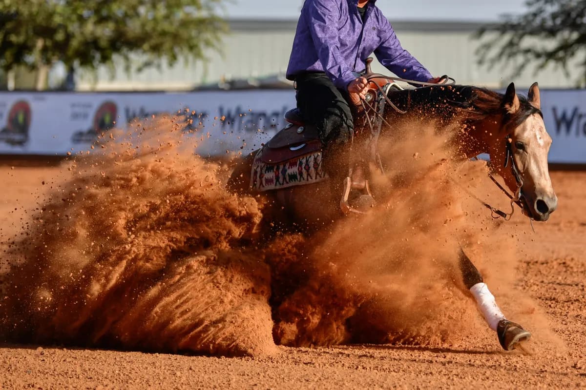 Cavalo de Rédeas em campeonato